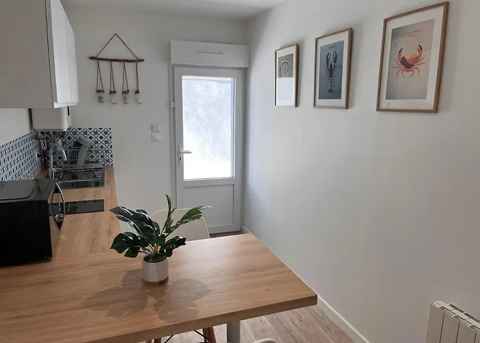 Cosy Avec Terrasse, Proche Chantiers Et Airbus * Saint-Nazaire (Loire-Atlantique)